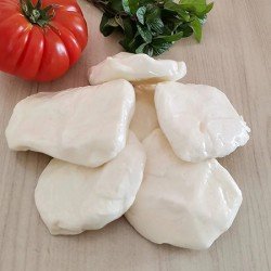 Hatay Kekikli Sıkma Peynir 500 gr Hatay Kekikli Sıkma Peynir 500 gr