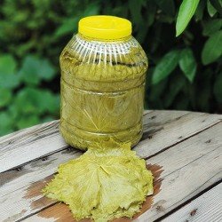 Salamura Manisa Yaprak 5 lt Salamura Manisa Yaprak 5 lt